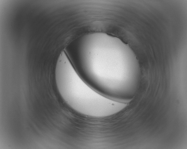 X0000069830080200605190953