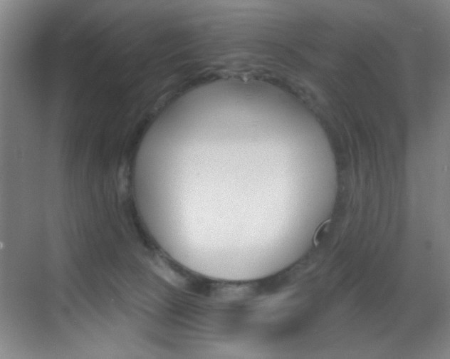 X0000069830081200605190953