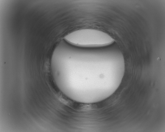 X0000069830083200605190953