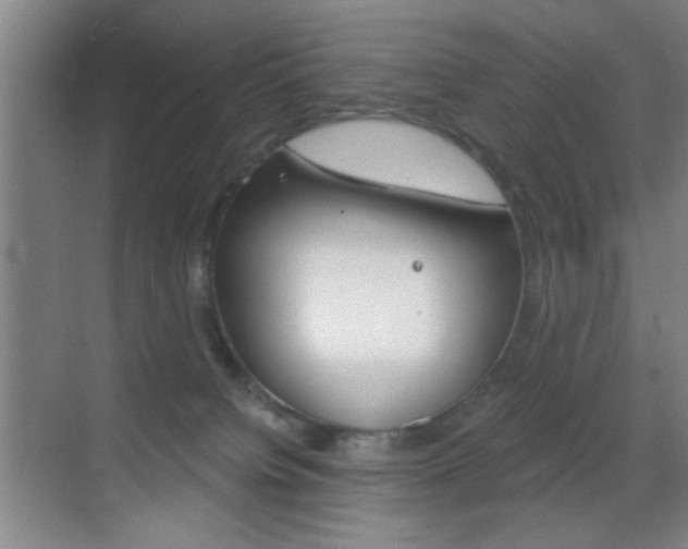 X0000069830084200605190953