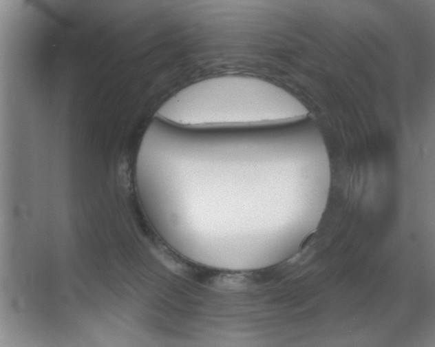 X0000069830086200605190953