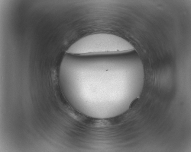 X0000069830087200605190953