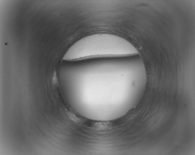 X0000069830089200605190953