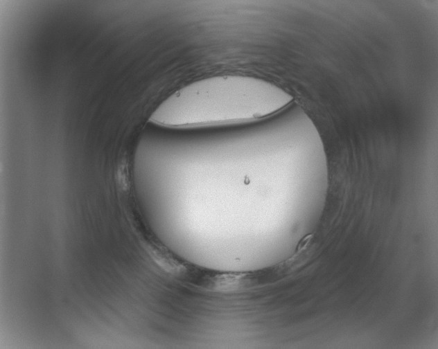 X0000069830090200605190953