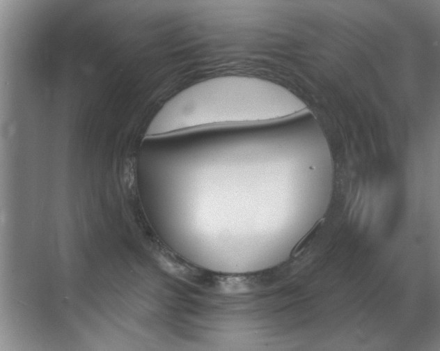 X0000069830091200605190953