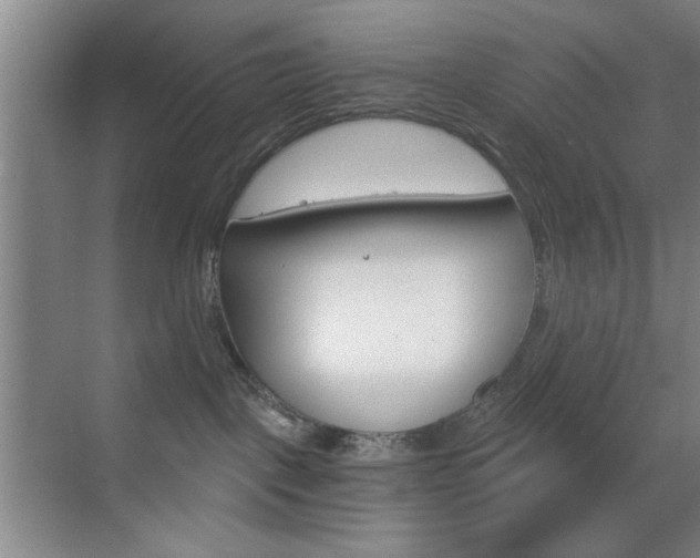 X0000069830093200605190953