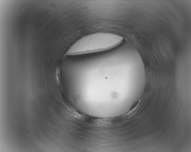 X0000069830094200605190953