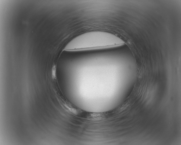 X0000069830095200605190953