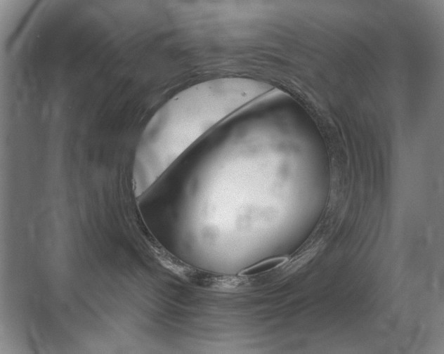 X0000069830096200605190953