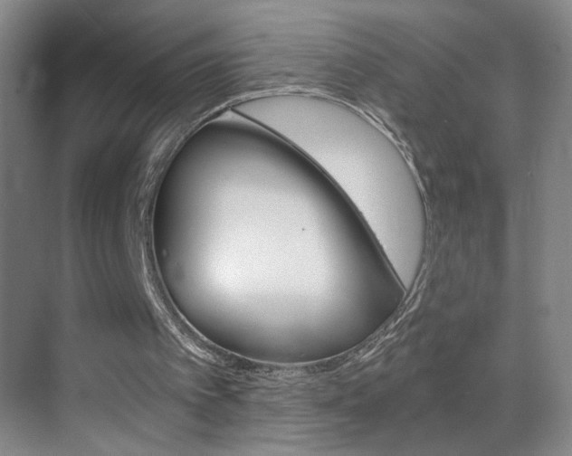 X0000069830097200605190952