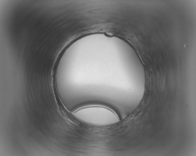 X0000069830100200605190952