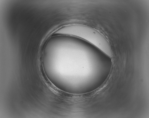 X0000069830101200605190952