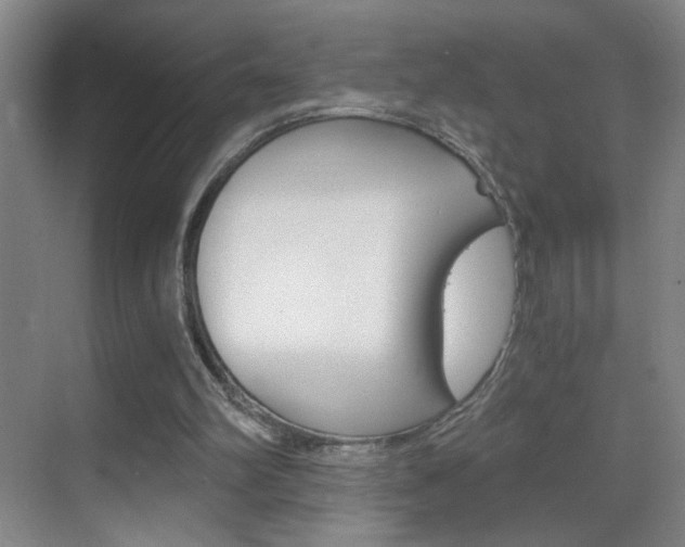 X0000069830102200605190952