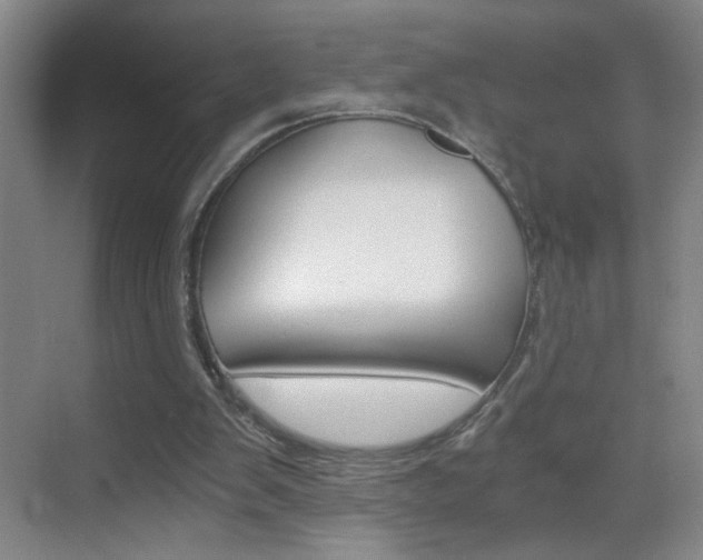 X0000069830103200605190952