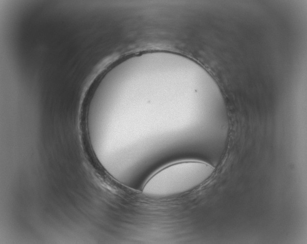 X0000069830104200605190952