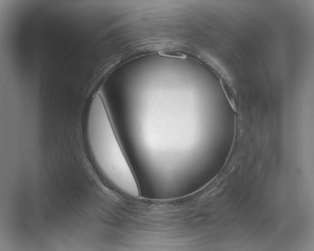 X0000069830105200605190952