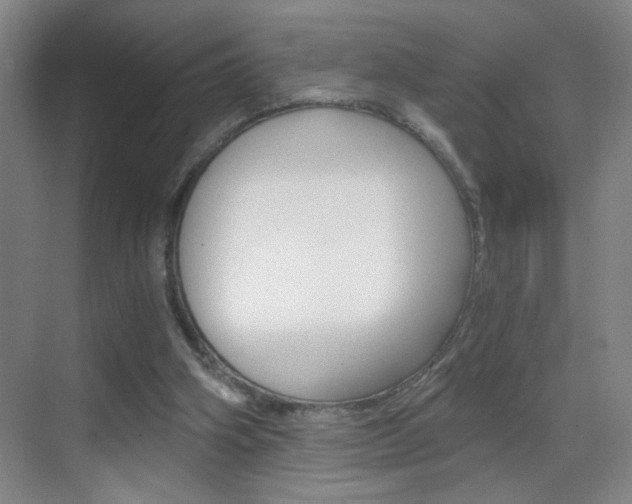 X0000069830106200605190952