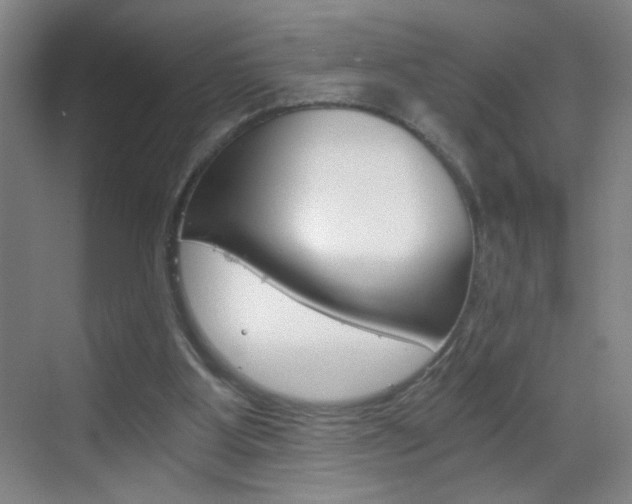 X0000069830107200605190952