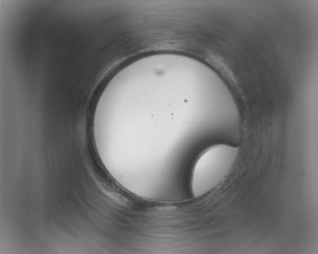 X0000069830108200605190952