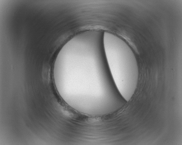 X0000069830110200605190952