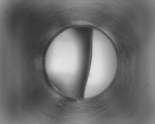 X0000069830111200605190952