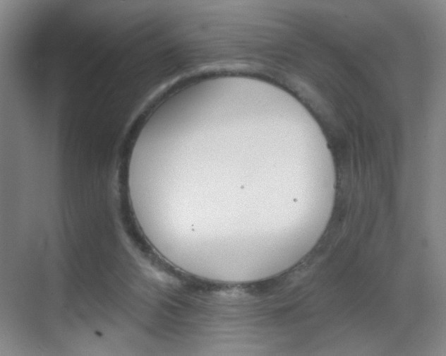 X0000069830112200605190952