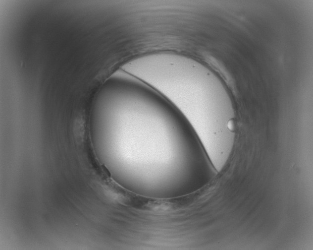 X0000069830113200605190952