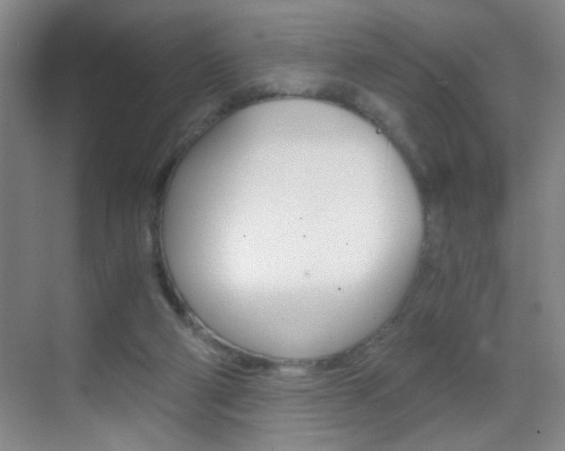 X0000069830114200605190952