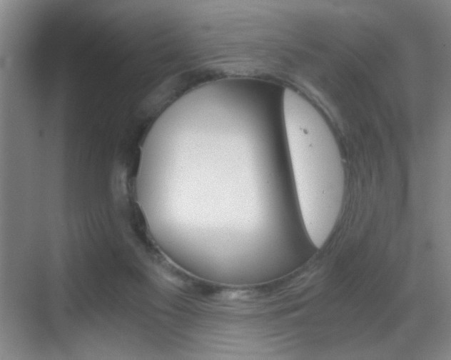 X0000069830117200605190952