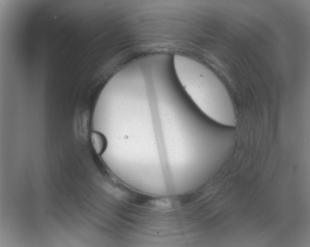 X0000069830118200605190952