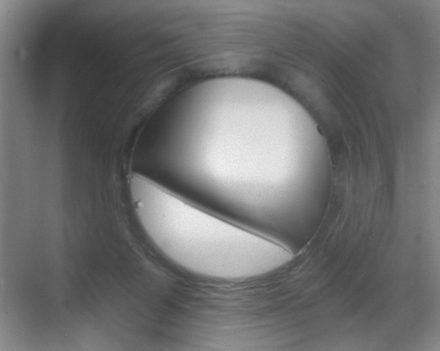 X0000069830119200605190952