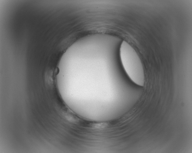 X0000069830122200605190952