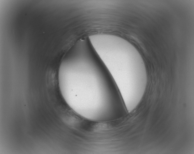 X0000069830123200605190952