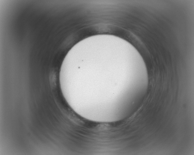 X0000069830124200605190952