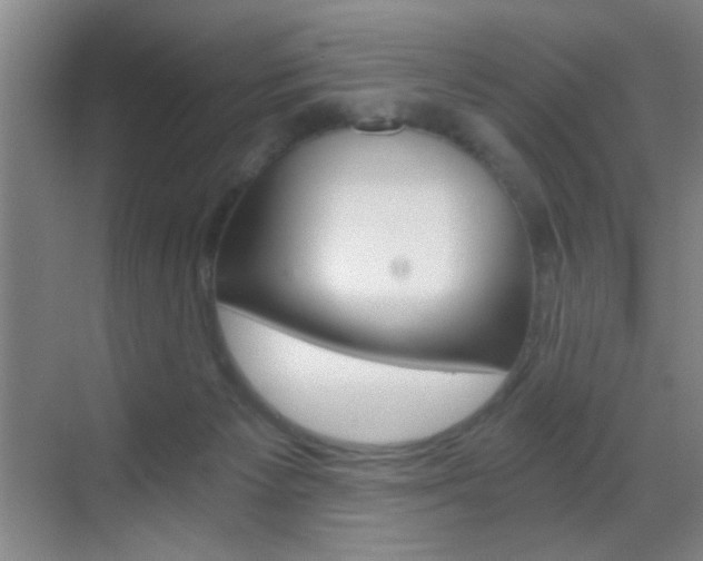 X0000069830125200605190952