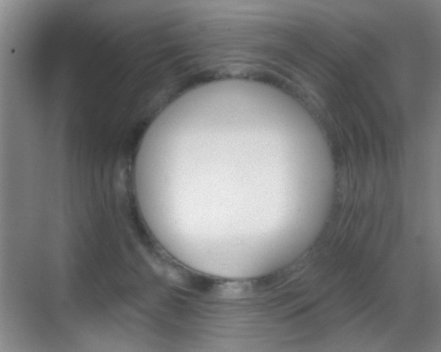 X0000069830126200605190952