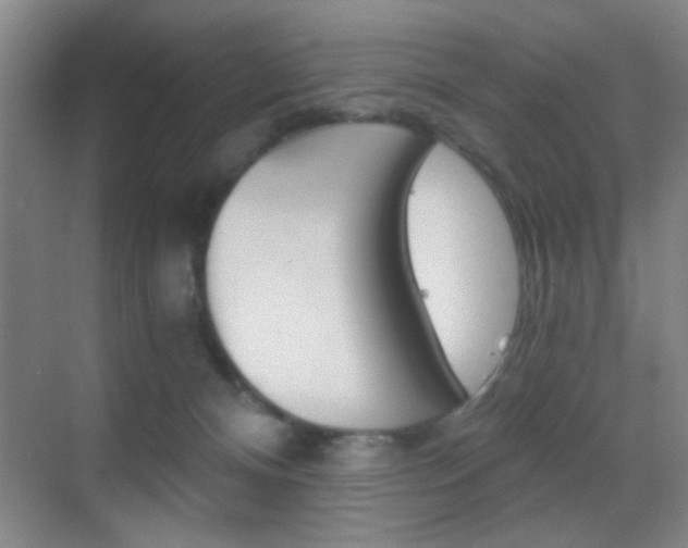 X0000069830128200605190952