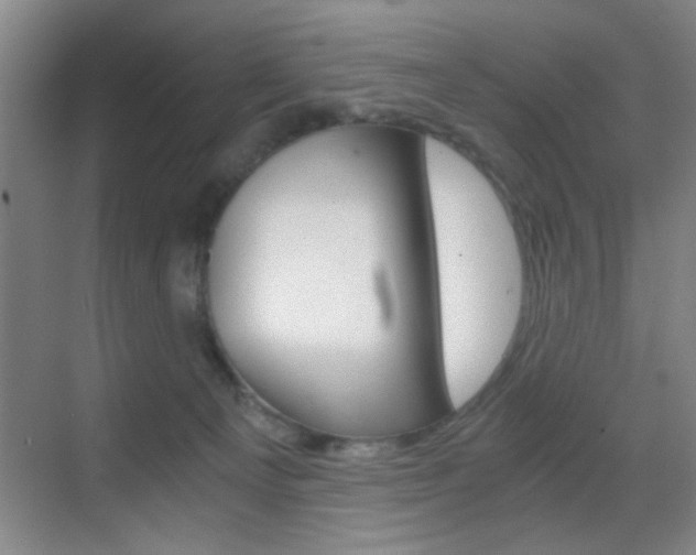 X0000069830129200605190952