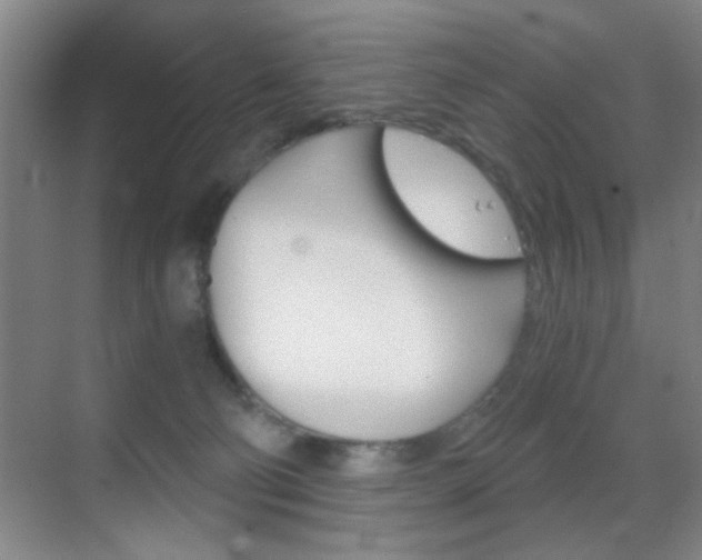 X0000069830130200605190952