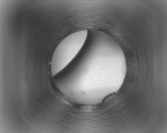 X0000069830131200605190952