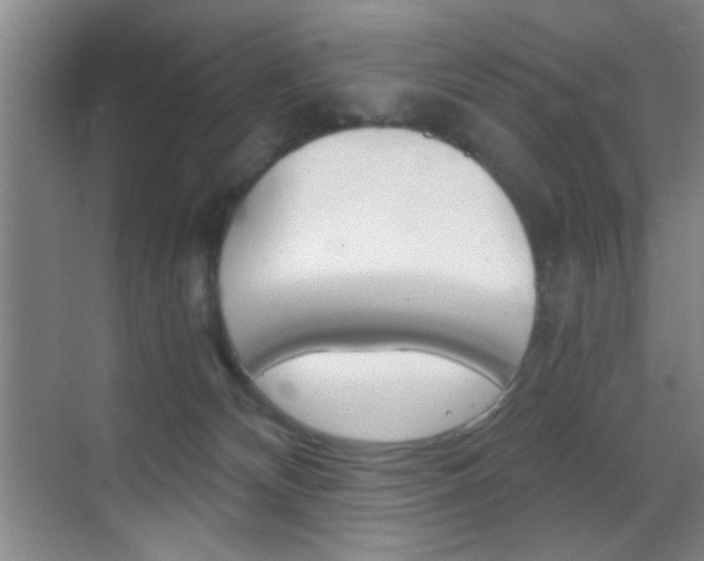 X0000069830132200605190952