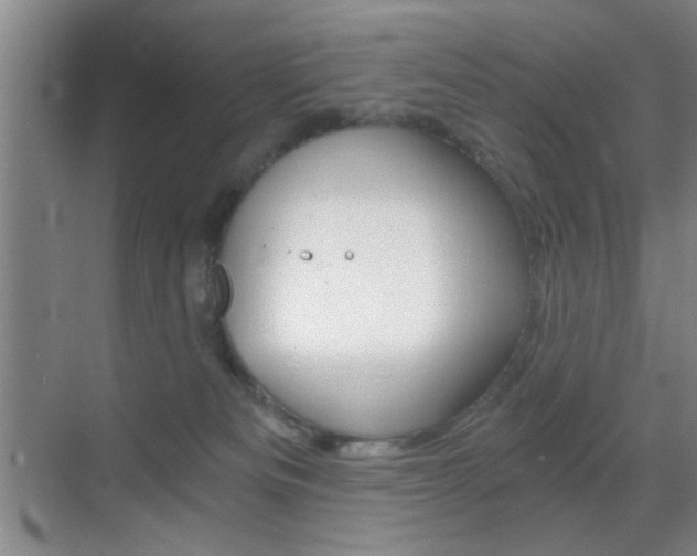 X0000069830133200605190952