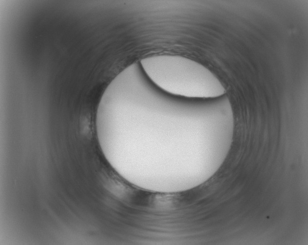 X0000069830134200605190952