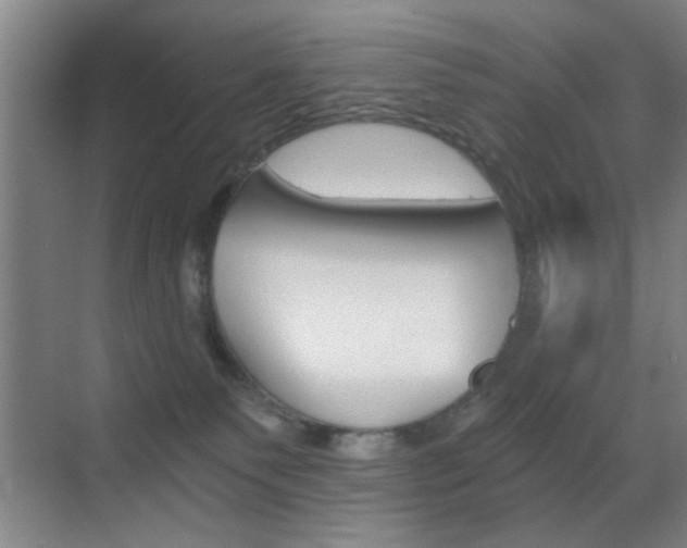 X0000069830135200605190952