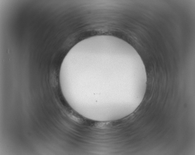 X0000069830136200605190952