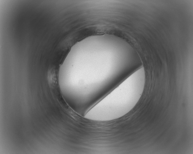 X0000069830137200605190952