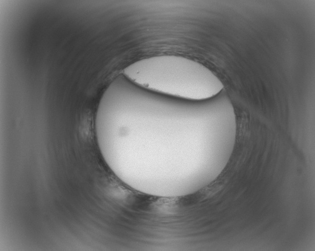 X0000069830138200605190951