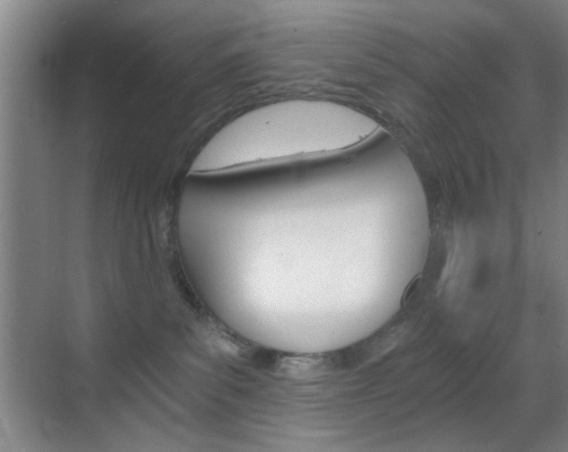 X0000069830139200605190951