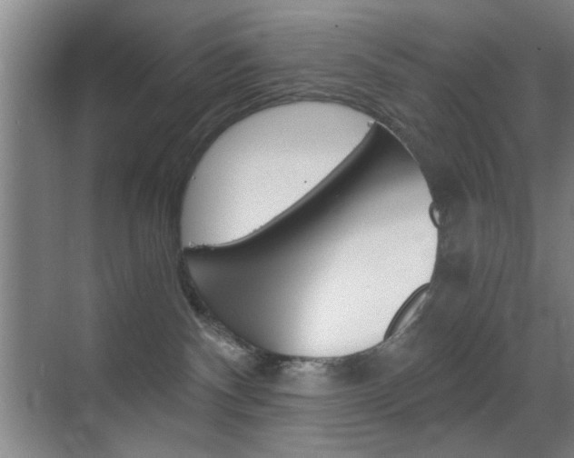 X0000069830140200605190951