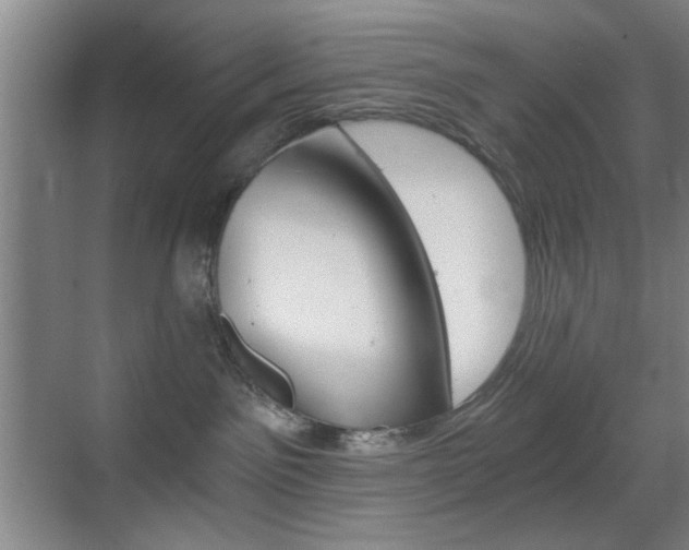 X0000069830141200605190951